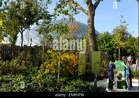 Grande serre,Zoo de Vincennes,parc zoologique de Paris,France Banque D'Images