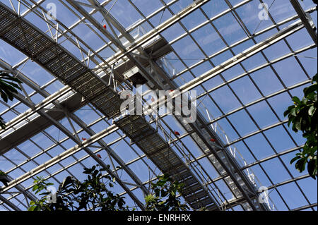 Grande serre,Zoo de Vincennes,parc zoologique de Paris,France Banque D'Images