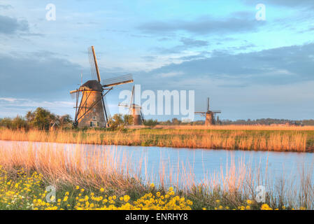 Les moulins à vent de Kinderdijk, Pays-Bas dans le soleil du matin Banque D'Images