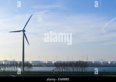 Les moulins à vent dans le port de Rotterdam, Pays-Bas Banque D'Images