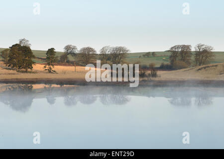 Un matin brumeux calme vue de l'étang près de Waldegrave Priddy dans les collines de Mendip, dans le Somerset. Banque D'Images