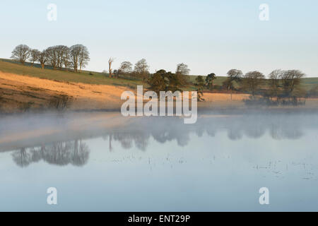 Un matin brumeux calme vue de l'étang près de Waldegrave Priddy dans les collines de Mendip, dans le Somerset. Banque D'Images