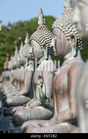 Bouddhas de Seema Malakaya Meditation Centre, Colombo, Sri Lanka Banque D'Images