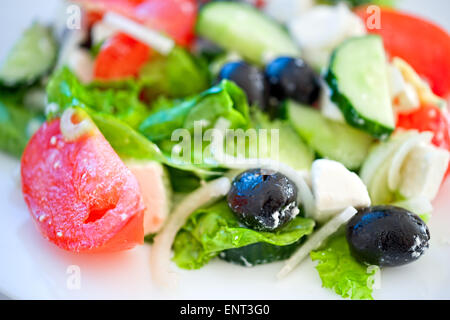 Salade grecque, tomates, concombres, olives, close-up Banque D'Images