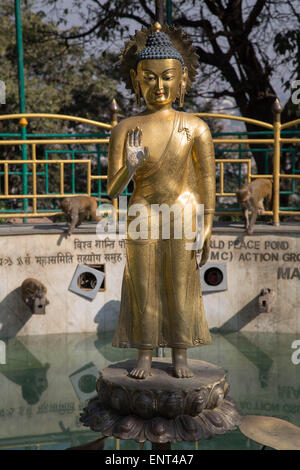 Gold statue bouddhiste, Swayambhunath temple aux singes, Katmandou, Népal Banque D'Images