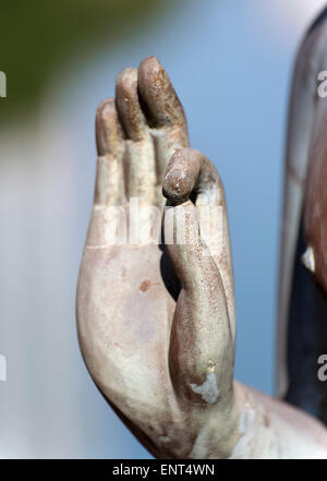 Close-up of Vitarka mudra geste, Seema Malakaya Meditation Centre, Colombo, Sri Lanka Banque D'Images