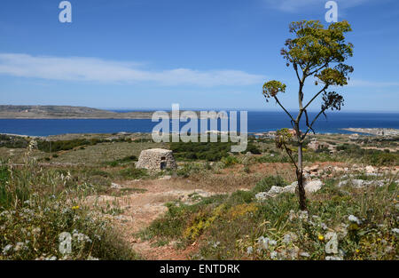 Marfa Ridge et de Gozo, Malte, Méditerranée du Nord Banque D'Images