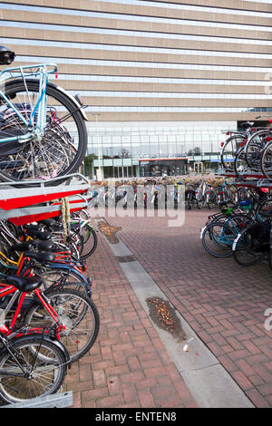 Nombreux vélos devant la gare centrale de La Haye en Hollande Banque D'Images
