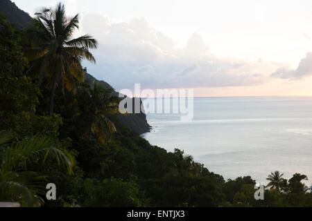 Palmiers et de falaises avec horizon de l'océan. Banque D'Images