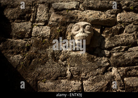 Une sculpture crâne décore la ville maya de Coba, péninsule du Yucatan, Mexique Banque D'Images