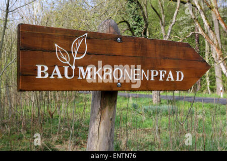 Un signe pour le canopy walkway (Baumkronenpfad) dans Parc national du Hainich, Allemagne. Banque D'Images