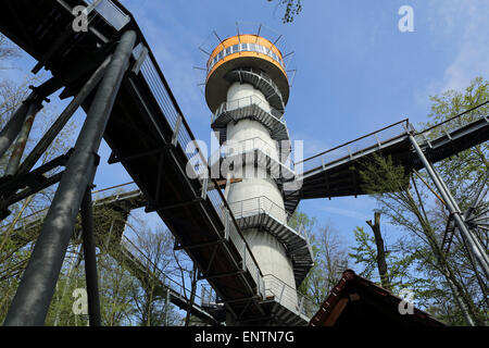 La tour de la Canopy Walkway (Baumkronenpfad) dans Parc national du Hainich, Allemagne. Banque D'Images