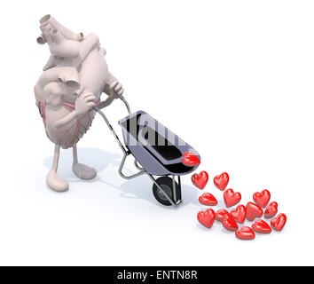 Coeur de l'homme avec les bras et jambes porte une brouette avec des cœurs, 3d illustration Banque D'Images