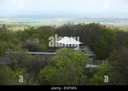 Une plate-forme d'observation sur le canopy walkway (Baumkronenpfad) dans Parc national du Hainich, Allemagne. Banque D'Images