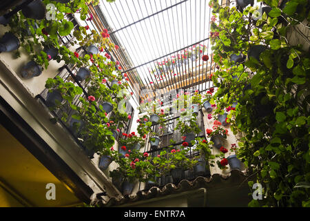 El Pimpi, cour intérieure de Bodegas El Pimpi, bar restaurant, Malaga, Andalousie, Espagne. Banque D'Images