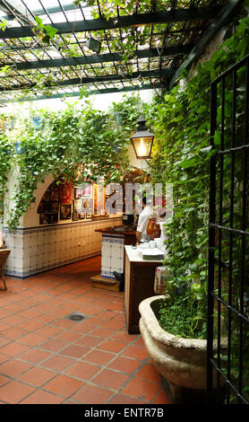 El Pimpi, cour intérieure de Bodegas El Pimpi, bar restaurant, Malaga, Andalousie, Espagne. Banque D'Images