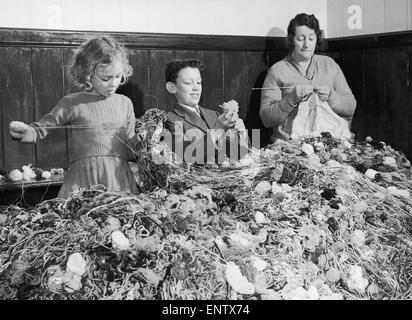 Mme T White après avoir écrit une lettre sur le miroir pour demander de faire des dons de laine et des jouets en laine pour la Spastics Society a reçu plus de 200 parcelles de la laine et même un chandail avec l'aiguille encore dans elle ! Vers 1955 Banque D'Images