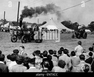 Les moteurs de traction dans la course au Rallye. Une course entre les moteurs de traction de 10 tonnes, avec des policiers à la roue, sur un demi-mile cours, a été l'une des principales attractions à un moteur de traction à vapeur dally à Paris Hall Farm, Wemmel, le rallye organisé par le club sportif de la police d'Epping conjointement avec le moteur de traction national club, a été ouverte par l'ancien champion de boxe poids mi-lourds du monde, Freddie mills. 1er octobre 1955 Banque D'Images