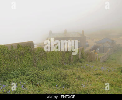 Eastbourne, East Sussex, Royaume-Uni. 11 mai 2015. Royaume-Uni Météo : la brume dense de la mer roule le long de la côte. À un peu plus d'un kilomètre à l'intérieur des terres, il y a un soleil éclatant. Les cottages Birling Gap Banque D'Images