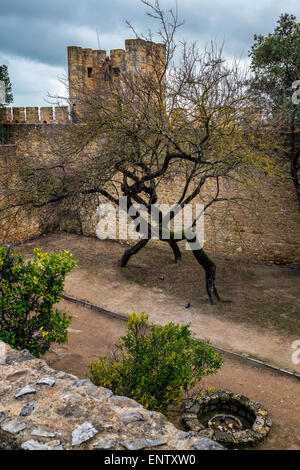 Des arbres à l'intérieur Château Sao Jorge à Lisbonne, Portugal Banque D'Images