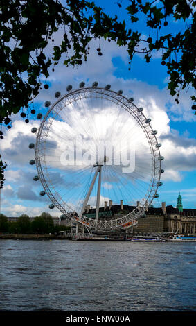 Le London Eye, la Tamise, Londres, Royaume-Uni. Banque D'Images