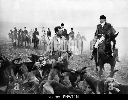 Faites glisser la chasse : les chiens enfin retrouver leur 'fox' sous la forme d'Henry Edwards qui est toujours en cours d'exécution dans certains 7 Janvier 1973 Banque D'Images