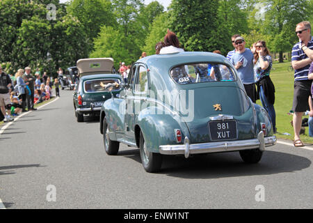 Peugeot 203 (1956). Châtaignier dimanche 10 mai 2015. Bushy Park, Hampton court, London Borough of Richmond, Angleterre, Grande-Bretagne, Royaume-Uni, Royaume-Uni, Europe. Parade de véhicules vintage et classiques et expositions avec attractions foraines et reconstitutions militaires. Crédit : Ian Bottle / Alamy Live News Banque D'Images