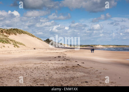 Vues de la plage et des dunes de sable avec des dog walkers, Druridge Bay, Northumberland, Angleterre Banque D'Images