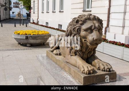 Sculpture en pierre d'un lion à l'entrée de l'Hôtel de Ville à Plock Pologne Banque D'Images