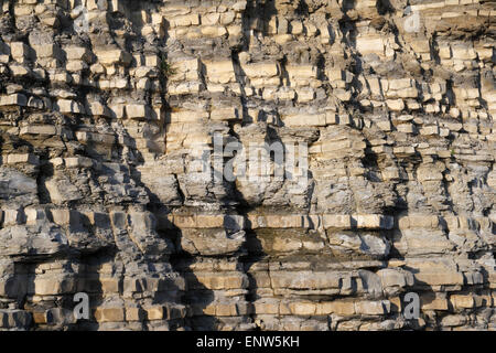 Couches de couches sédimentaires de couches de roches de Blue Lias à Lavernock point Wales, Royaume-Uni. Côte gallois Banque D'Images