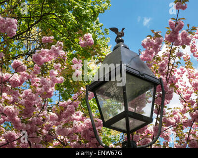 Washington Square Park au printemps, Greenwich Village, NEW YORK, USA Banque D'Images