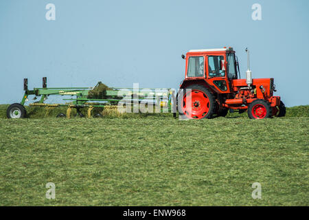 Un fichier photo datée du 11 mai 2015 montre un tracteur en tournant l'herbe fraîche près de Grimma, Allemagne. PHOTO : LUKAS SCHULZE/dpa Banque D'Images