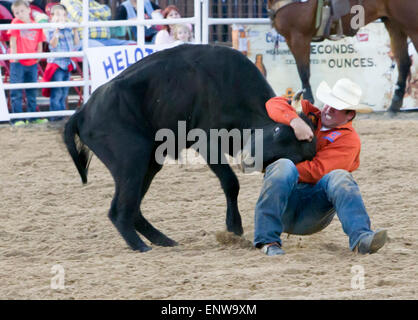 Professional wrestling cowboy d'un bouvillon à Helotes Texas Cornyval PRCA Rodeo près de San Antonio Banque D'Images