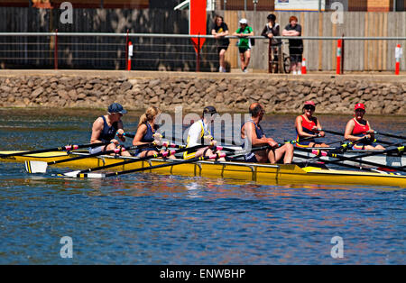 La FISA 2014 Régates mondiales d'aviron pour Masters Banque D'Images