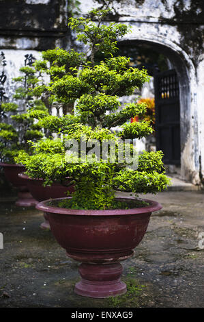 Tombe d'un mandarin - Chau Doc, Vietnam Banque D'Images