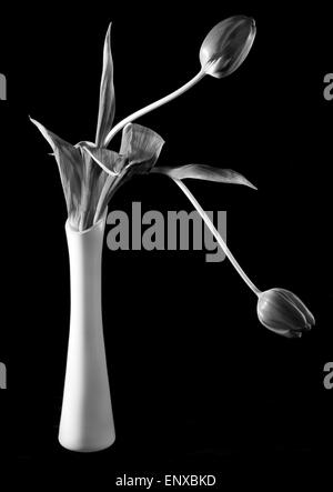 Tulipes dans un Vase Banque D'Images