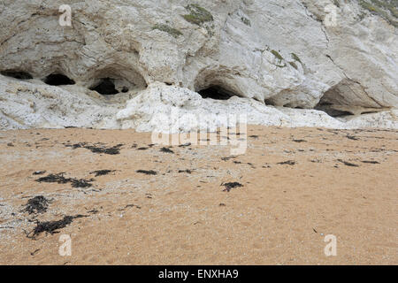 Petites grottes dans les falaises de craie près de Durdle Door Banque D'Images