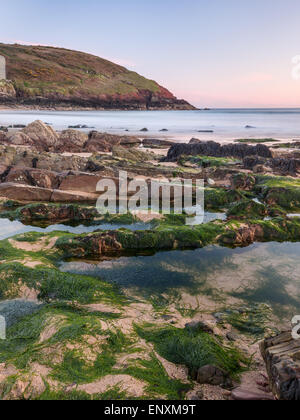 Plage de Manorbier dans Pembrokeshire, Pays de Galles - par des rochers et des algues sur un pinky coucher soleil soir Banque D'Images