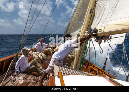 Sur la sincérité de l'équipage, course à l'Antigua Classic Yacht Regatta 2015 Banque D'Images