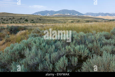 Il paysage aride de la prairie au pied de la dent de l'ours avec des montagnes, de l'armoise et de prairies. Banque D'Images