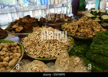 Différents types de champignons comestibles et les champignons sur un food dans un marché alimentaire de Bangkok, Thaïlande, février Banque D'Images