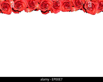 Rahmen : Rote Rosen - Symbolbild Liebe/ Valentinstag/ cadre : rose rouge - image symbolique de l'amour, d'affection et de Jour de Valentines. Banque D'Images