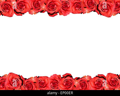 Rahmen : Rote Rosen - Symbolbild Liebe/ Valentinstag/ cadre : rose rouge - image symbolique de l'amour, afection et Jour de Valentines. Banque D'Images