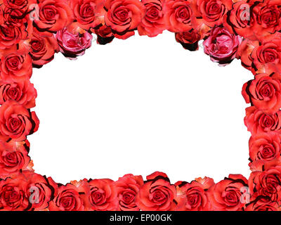 Rahmen : Rote Rosen - Symbolbild Liebe/ Valentinstag/ cadre : rose rouge - image symbolique de l'amour, d'affection et de Jour de Valentines. Banque D'Images