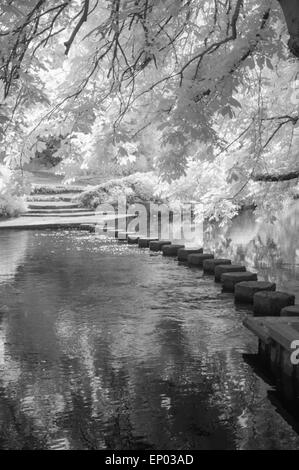Pierres de gué sur la rivière Mole, Surrey, Angleterre. Image infra-rouge Banque D'Images