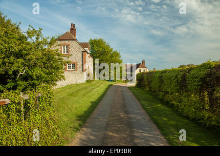 Après-midi de printemps au Centre de moutons des sept Sœurs, East Sussex, Angleterre. Banque D'Images