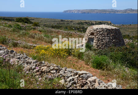 Tournage cacher à Marfa Ridge, au nord de la Méditerranée, Malte Banque D'Images