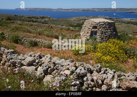 Tournage cacher, Marfa Ridge, au nord de la Méditerranée, Malte Banque D'Images