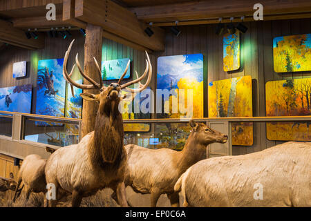 Affiche de la faune au Centre d'accueil de Jackson Hole Jackson Hole, Wyoming, USA Banque D'Images