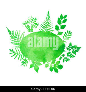 Contexte aquarelle de l'été avec l'herbe verte et de fougères. Banque D'Images